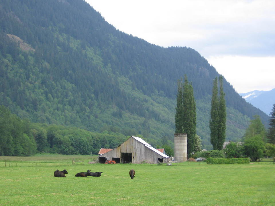 Marblemount, WA: by the Skagit River