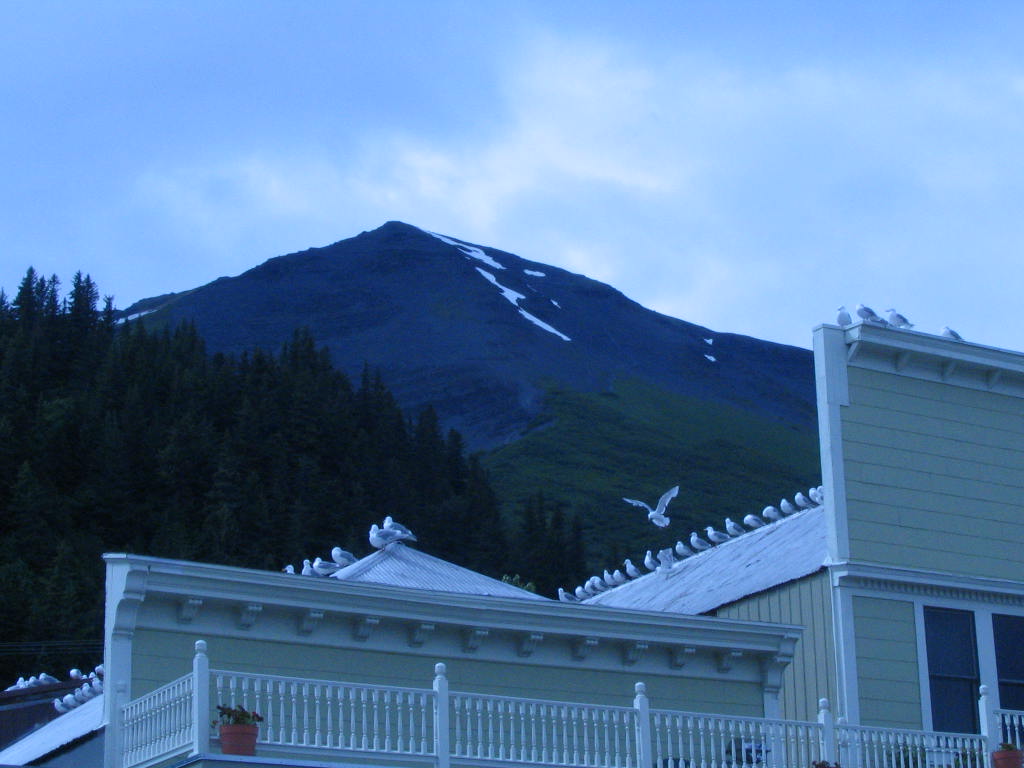 Seward, AK Off to MT. Maraton Seward photo, picture, image (Alaska