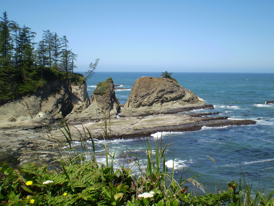 Coos Bay, OR: Picture of coast, on the way to shore acres