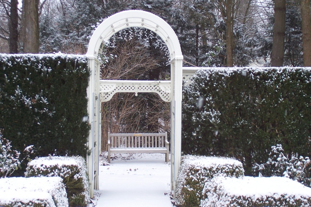 Youngstown, OH: ROSE GARDEN IN WINTER OF 2006