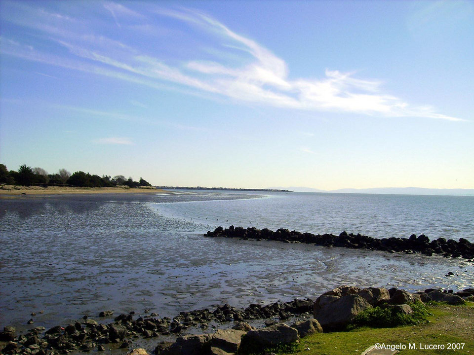 Alameda, CA: crab cove #1