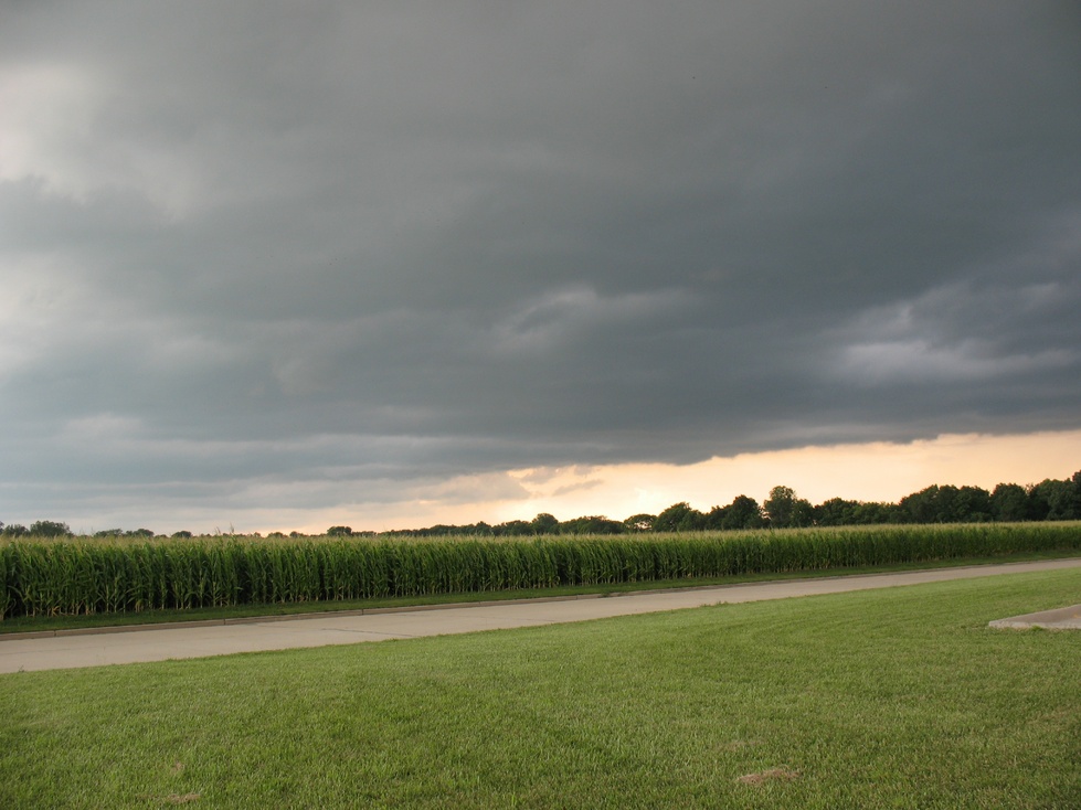 Mount Carmel, IL: Cornfield and stormfront - another angle - taken at Super 8 Motel in Mt. Carmel, July 6, 2007