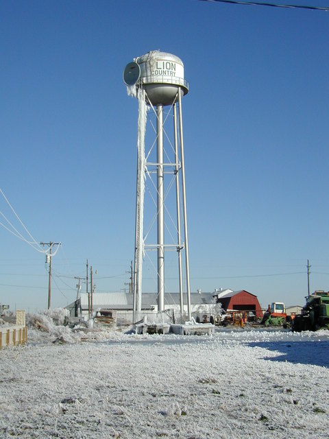 New Deal, TX: New Deal in the winter