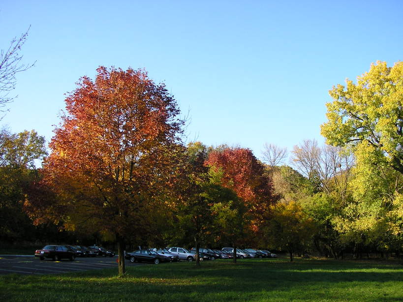Morton Grove, IL: autumn beauty in Morton Grove