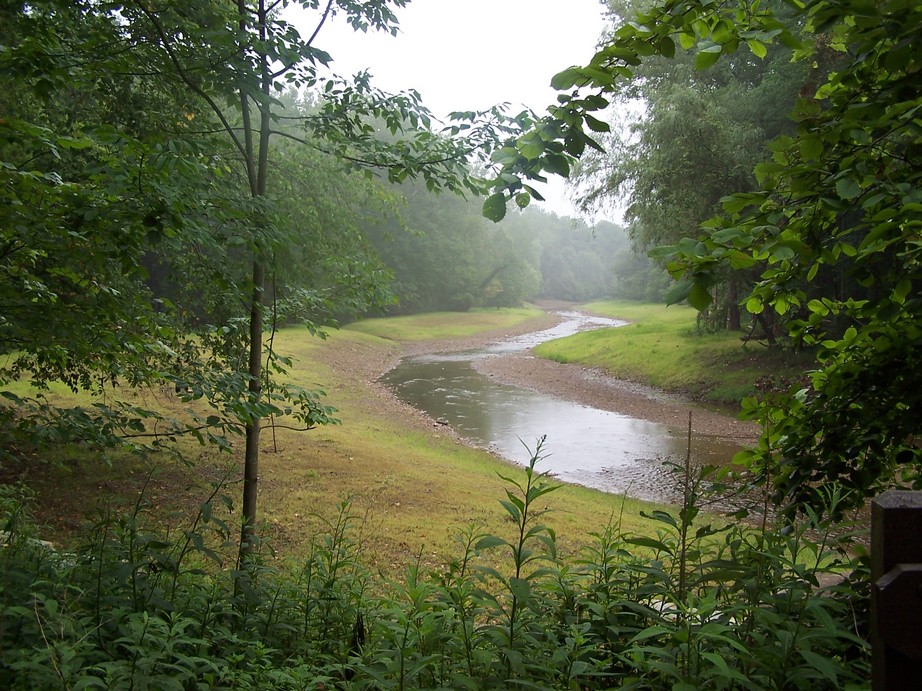 Brecksville, OH: Foggy morning in Brecksville on the Chippewa Creek