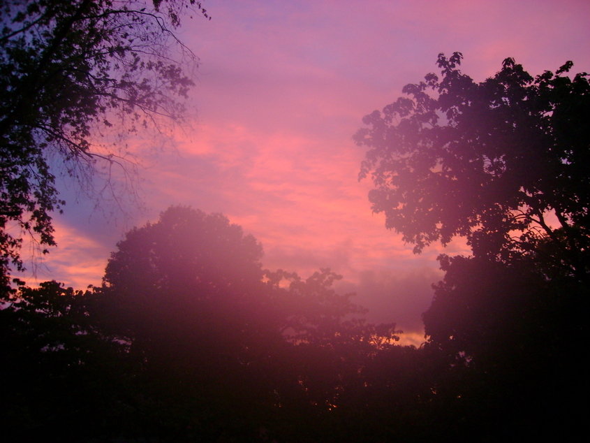 Red Bank, TN : Red Bank, TN with the sunset in my backyard photo ...