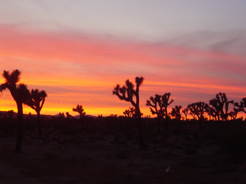 Yucca Valley, CA: Yucca Valley at Sunset