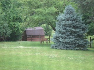 Finneytown, OH: Our Finneytown Backyard!