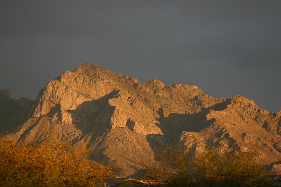 Tucson, AZ: Pusch Ridge