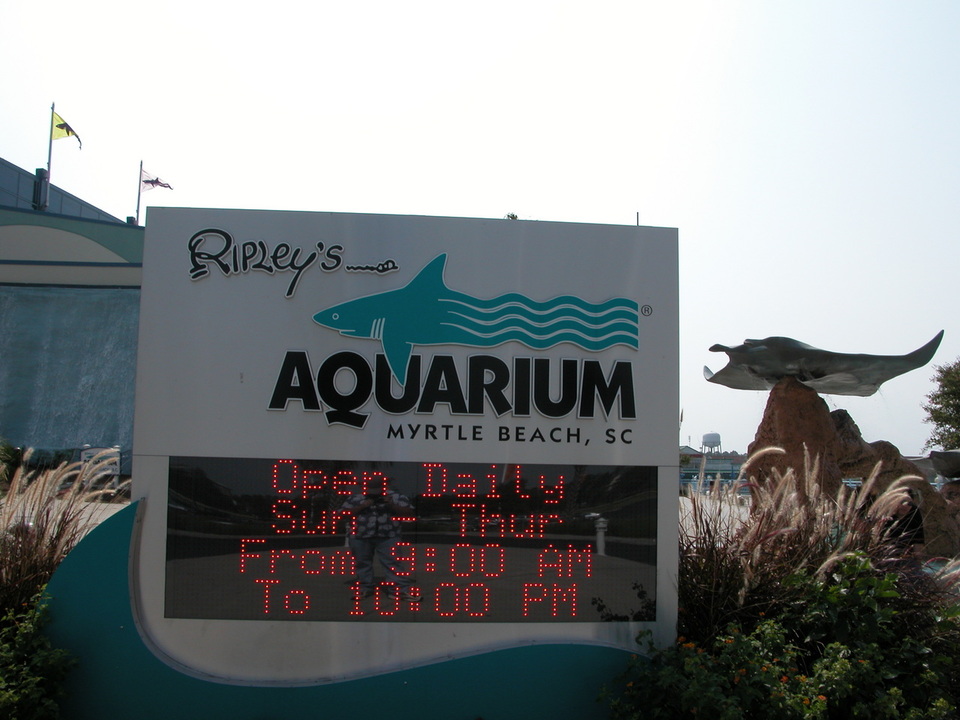 Myrtle Beach, SC: Ripleys Aquarium