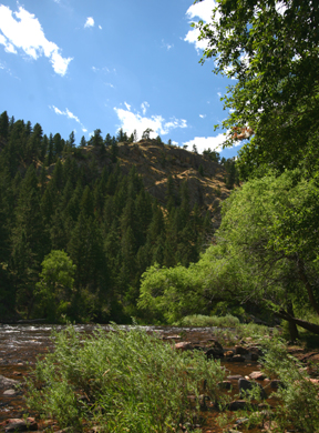 Fort Collins, CO: Poudre River