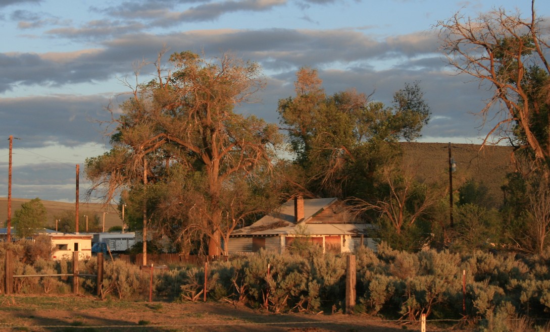 Drewsey, OR Living is tough.... photo, picture, image (Oregon) at