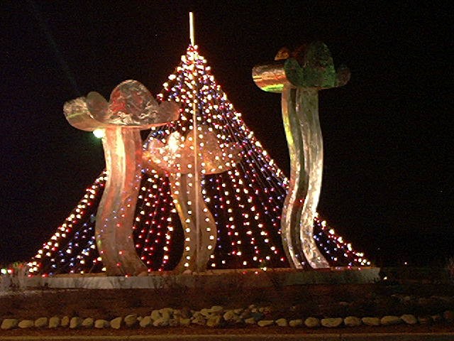 Toledo, OH: Walbridge Park Christmas Lights Island on Broadway St in Toledo, Ohio on February 9, 2002