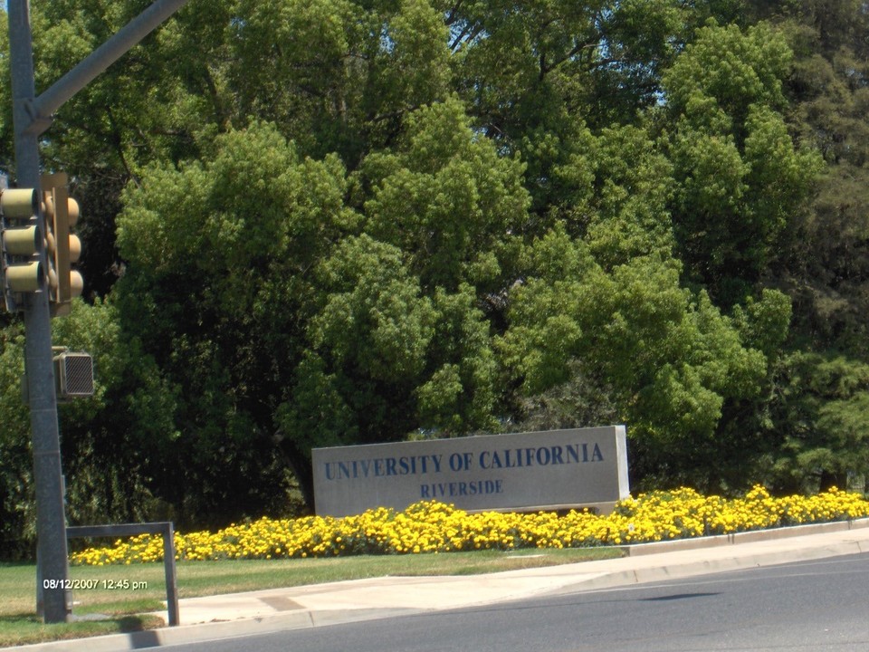 Riverside Ca University Of California Riverside Entrance University Avenue Photo Picture