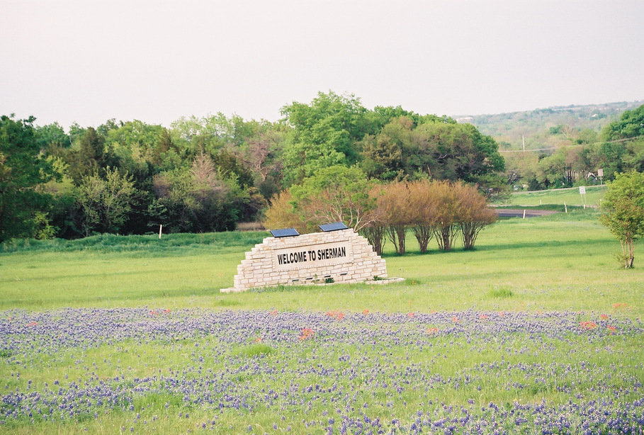 Sherman, TX: Bluebonnet Season in Sherman