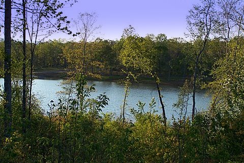 Centre, AL: Private Lake in Raintree Community