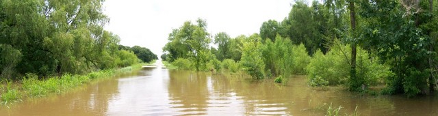 Cross Roads, TX: Lake Lewisville Flooding onto Fishtrap Road - June 28th 2007