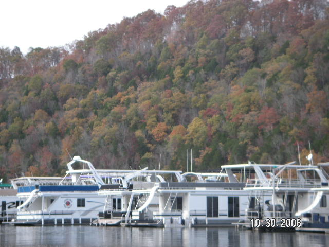 Byrdstown, TN: Houseboats at Sunset Marina on Dale Hollow Lake