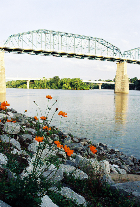 Chattanooga, TN: View of Walnut Street Bridge from Coolidge Park in North Shore