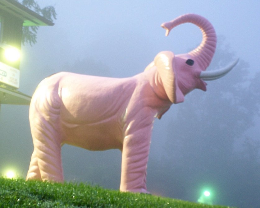 Barboursville, WV: Pink elephant in the morning fog