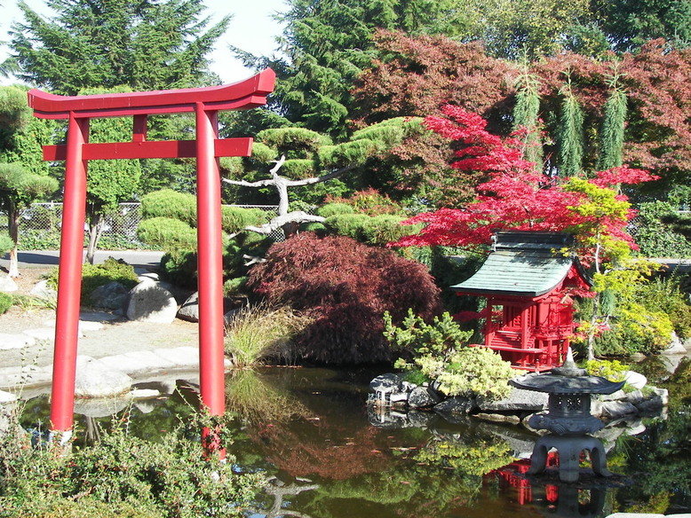 Tacoma, WA: Autumn Splendor at Tacoma's Japanese Garden in Point Defiance Park