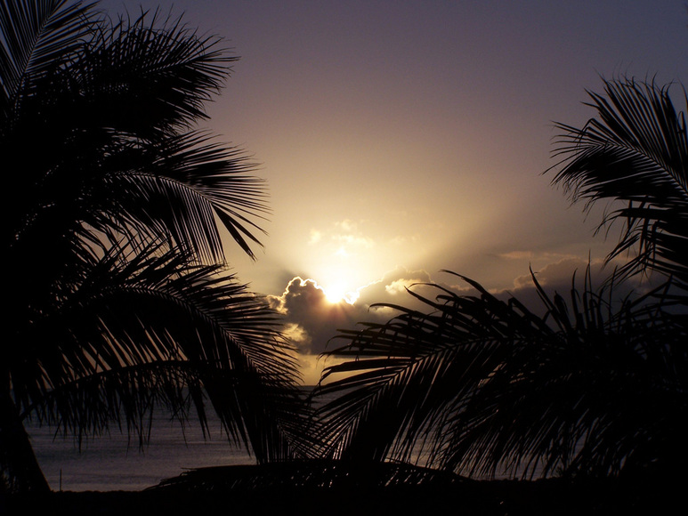 marathon-fl-sunrise-in-marathon-florida-photo-picture-image