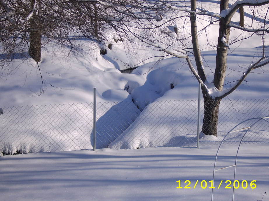Blue Springs, MO: December 1, 2006 snowfall