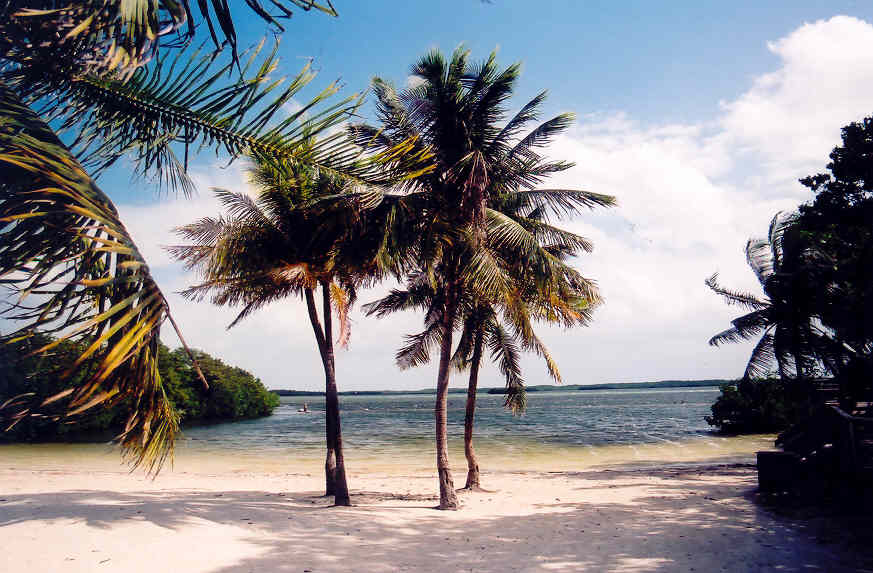 Key Largo, FL: John Pennekamp Coral Reef State Park