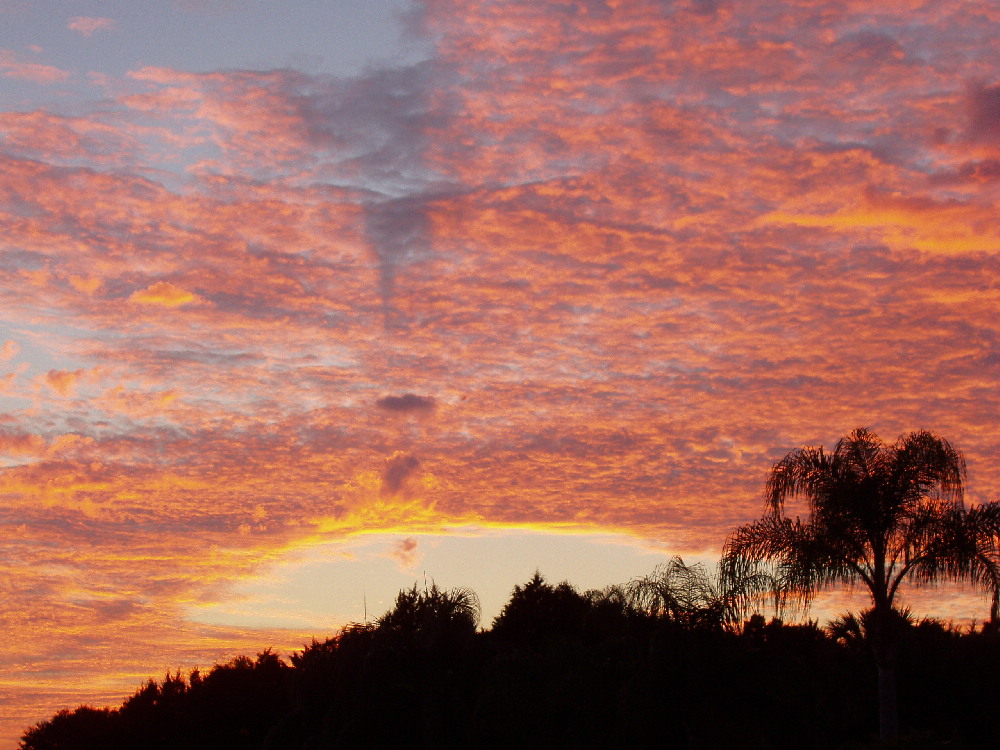 Harbour Heights, FL: Harbour Sunset