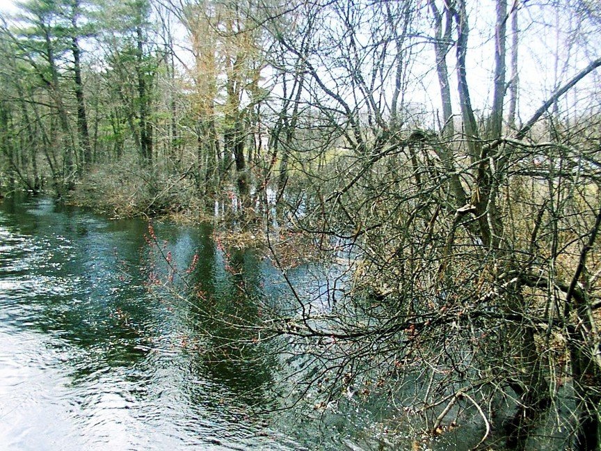 Framingham, MA: Sudbury River at Flood Stage Spring 2007