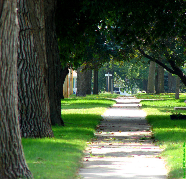 Humboldt, IA: Until autumn arrives, nearly every sidewalk of residential Humbolt, receives shade from a leafy canopy.