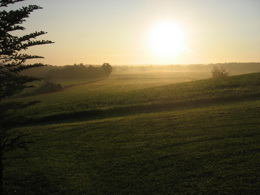 NY Sunset on the farm photo, picture, image (New York) at