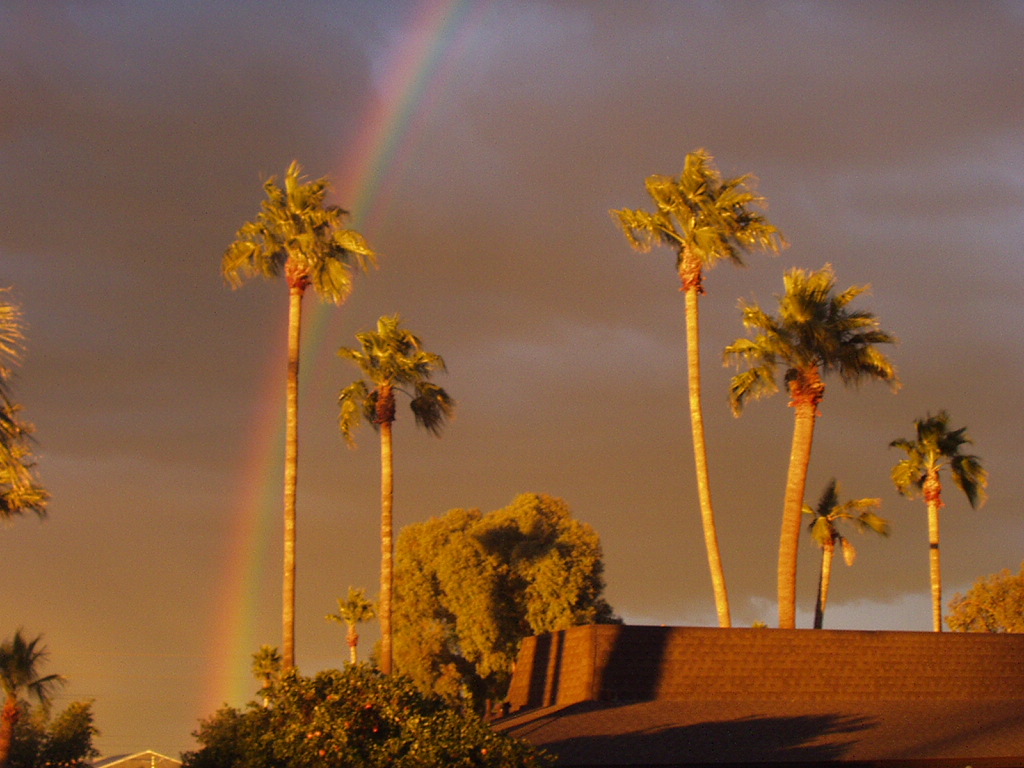 Phoenix, AZ: Phoenix rainbow in the afternoon