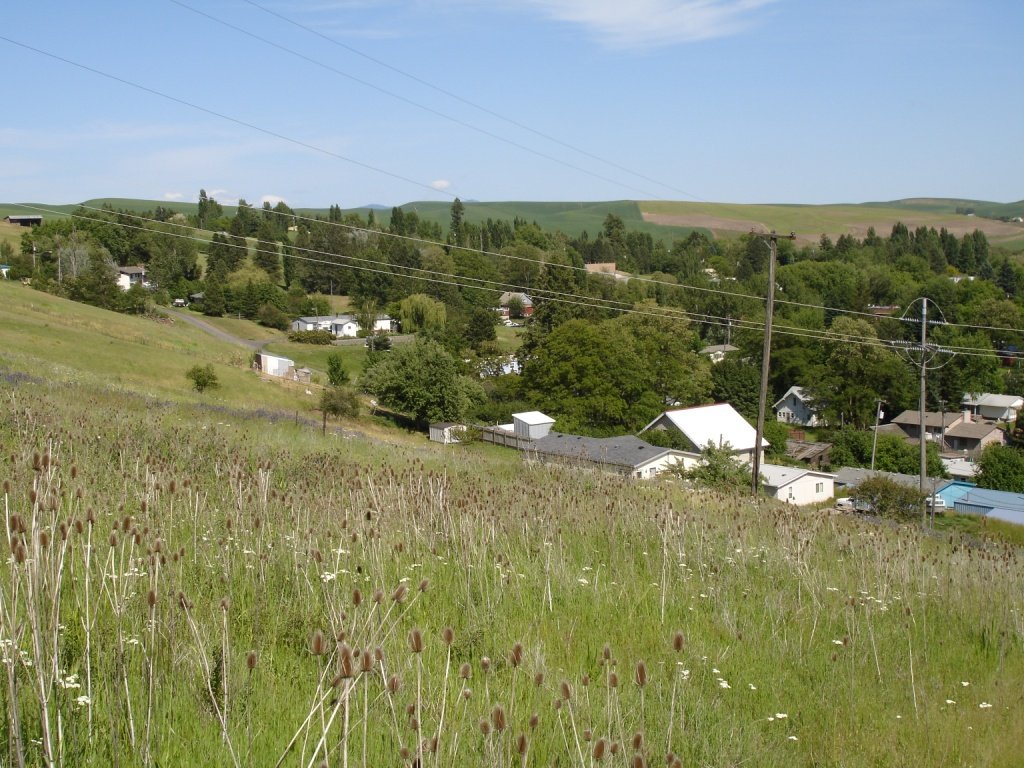 Albion, WA: View of northeast Albion from a nearby hill