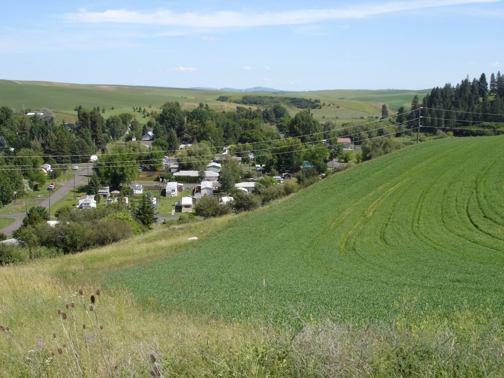 Albion, WA: View of southwest Albion from a nearby hill