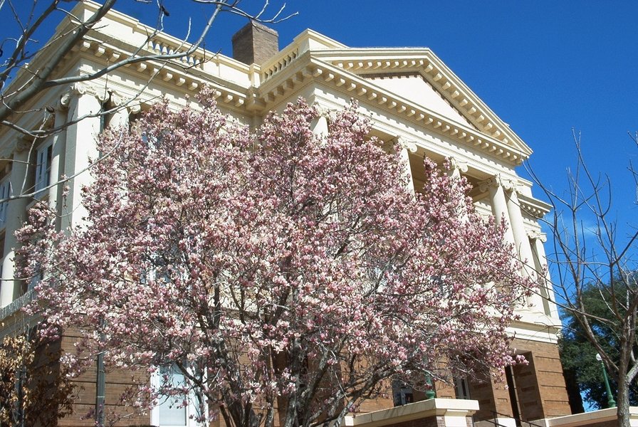 Palestine, TX: Anderson County Courthouse