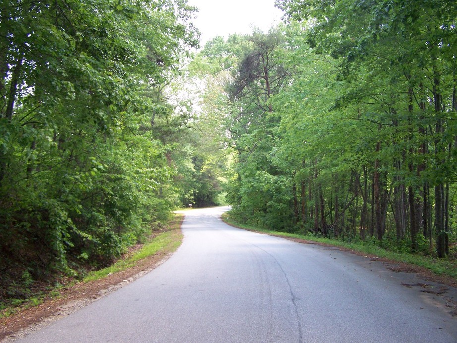 Travelers Rest, SC: COUNTRY ROAD