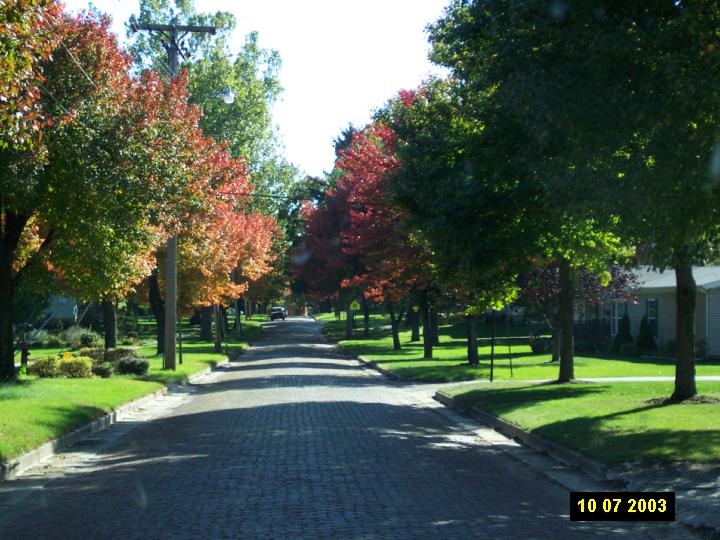 Onarga, IL: Fall Foliage on Poplar Street in Onarga