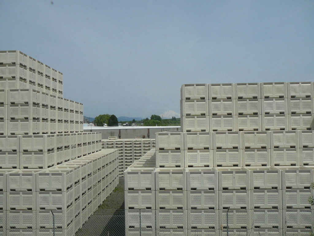 Odell, OR: Fruit crates and Mt. Hood