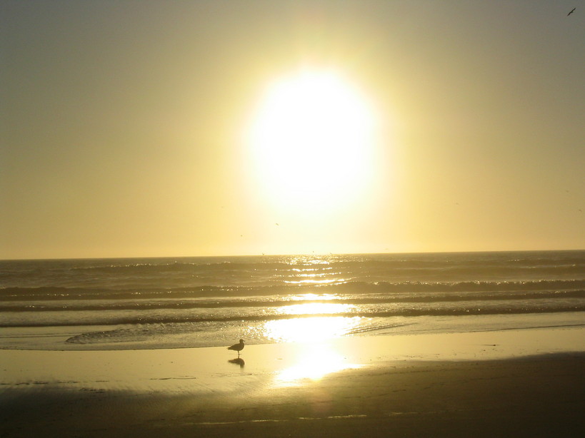 Ocean Shores, WA: SUNSET AT OCEAN SHORES,, WA.