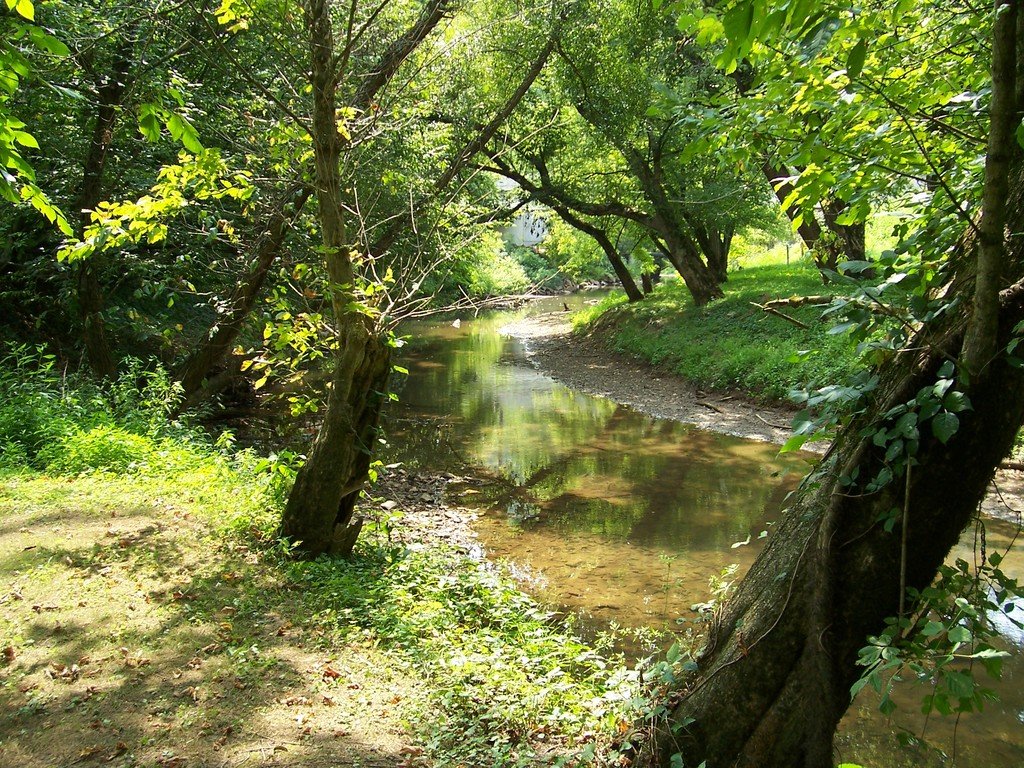 Sutton, WV: Granny's Creek into the Elk River
