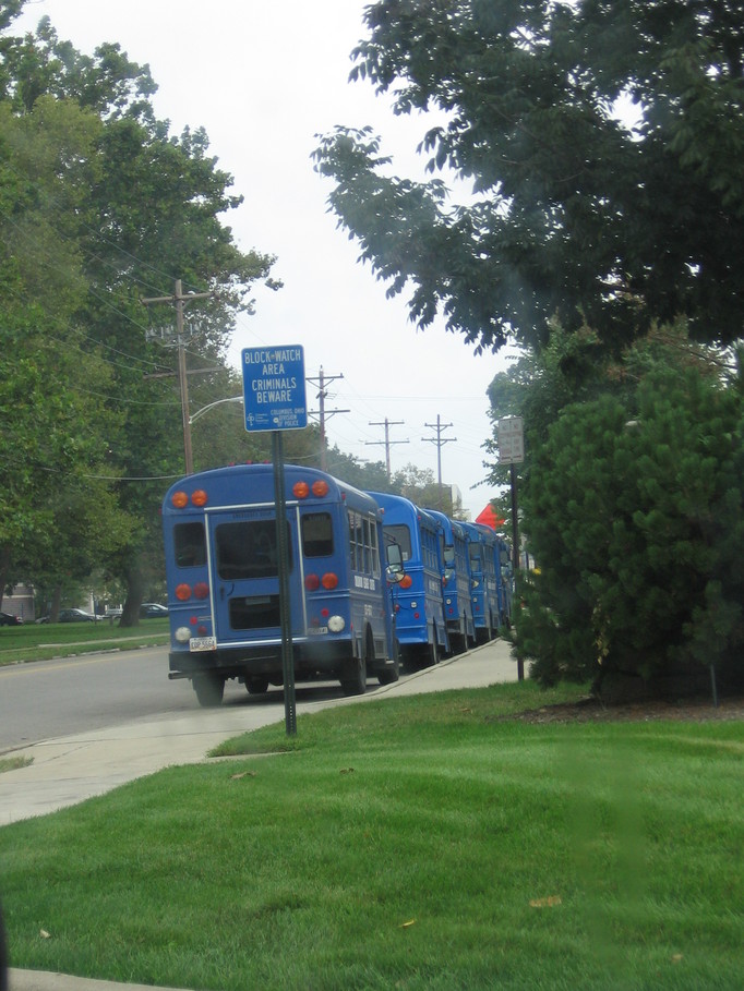 Columbus, OH: Blue buses by Children's Hospital