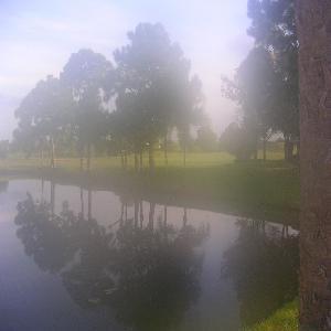 Port St. Lucie, FL: Early morning mist on golf course Savanna Club Port St Lucie