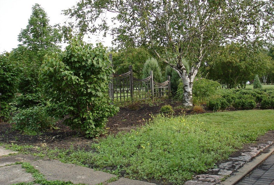 Dunseith, ND Peace Garden photo, picture, image (North Dakota) at