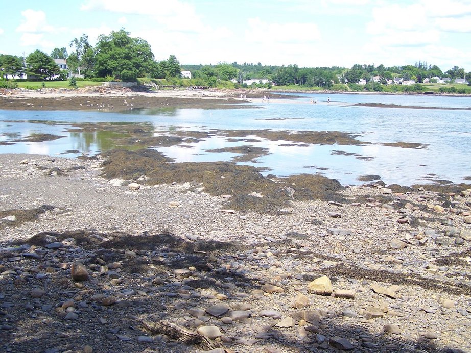 Searsport, ME: Penobscot Bay and view of Mosman Park from the Public Boat Launch