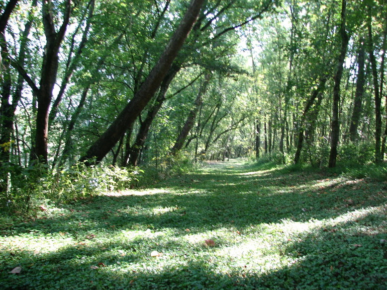 South Carthage, TN: Hiking trail @ DreamingbytheRiver on Caney Fork, S.Carthage