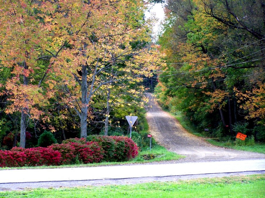 Friendship, NY: Fall Leaves on North Branch road