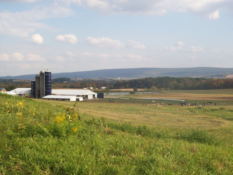 Milton, PA: Milton Farmland