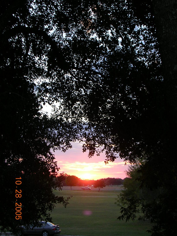 Seguin, TX: Seguin Sunset