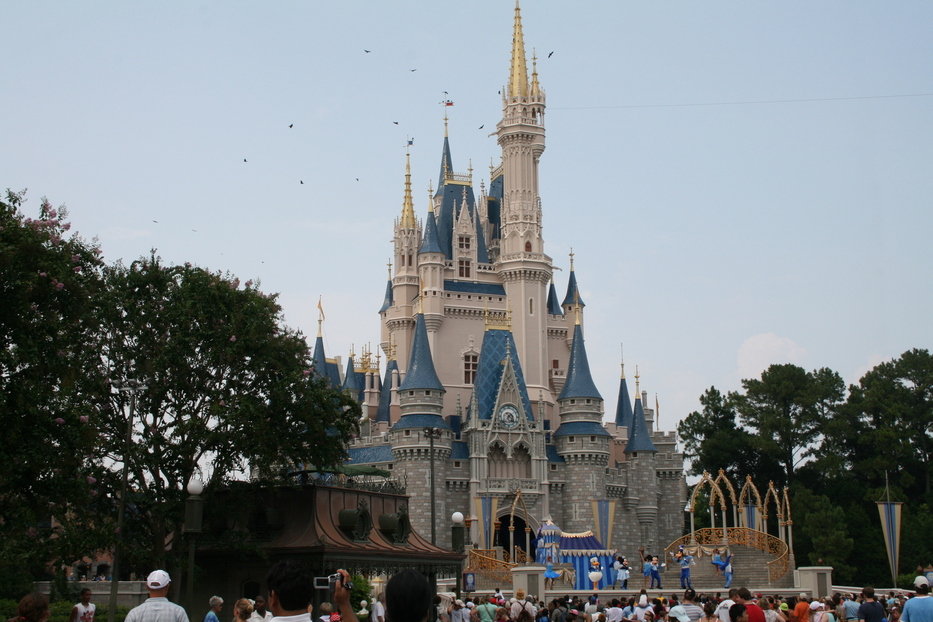 Orlando, FL: Disney Castle!